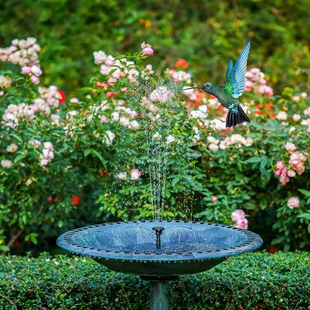 Home & Garden
