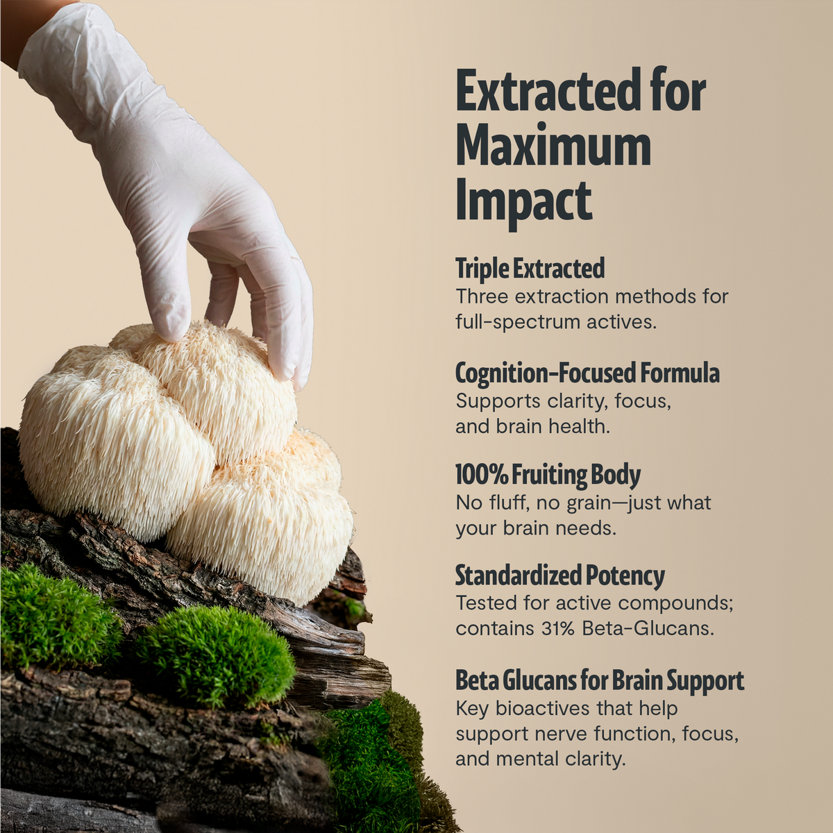 Organic Lion's Mane Capsules