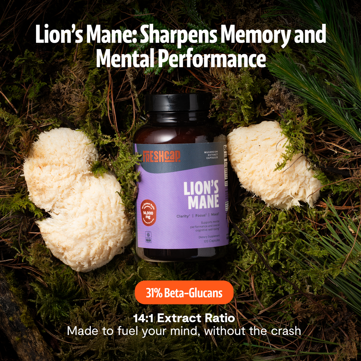Organic Lion's Mane Capsules