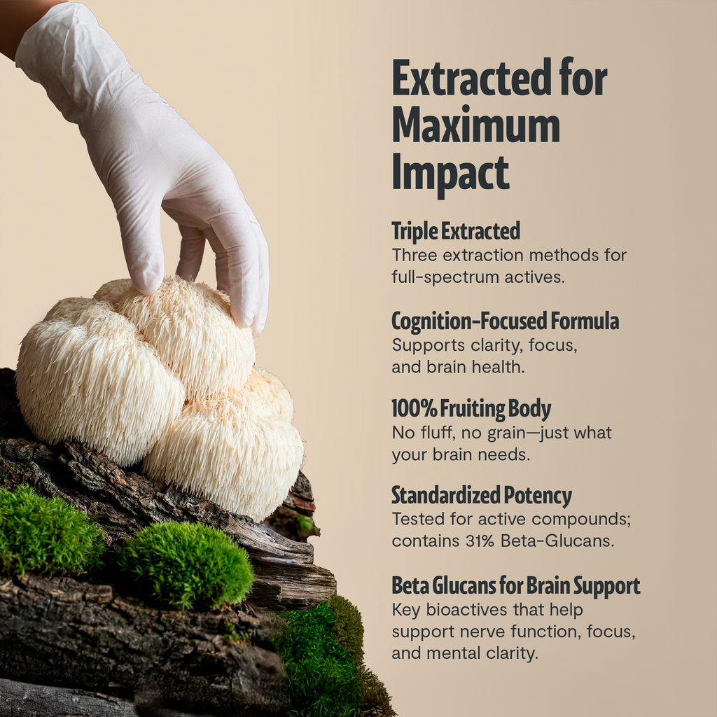 Organic Lion's Mane Capsules