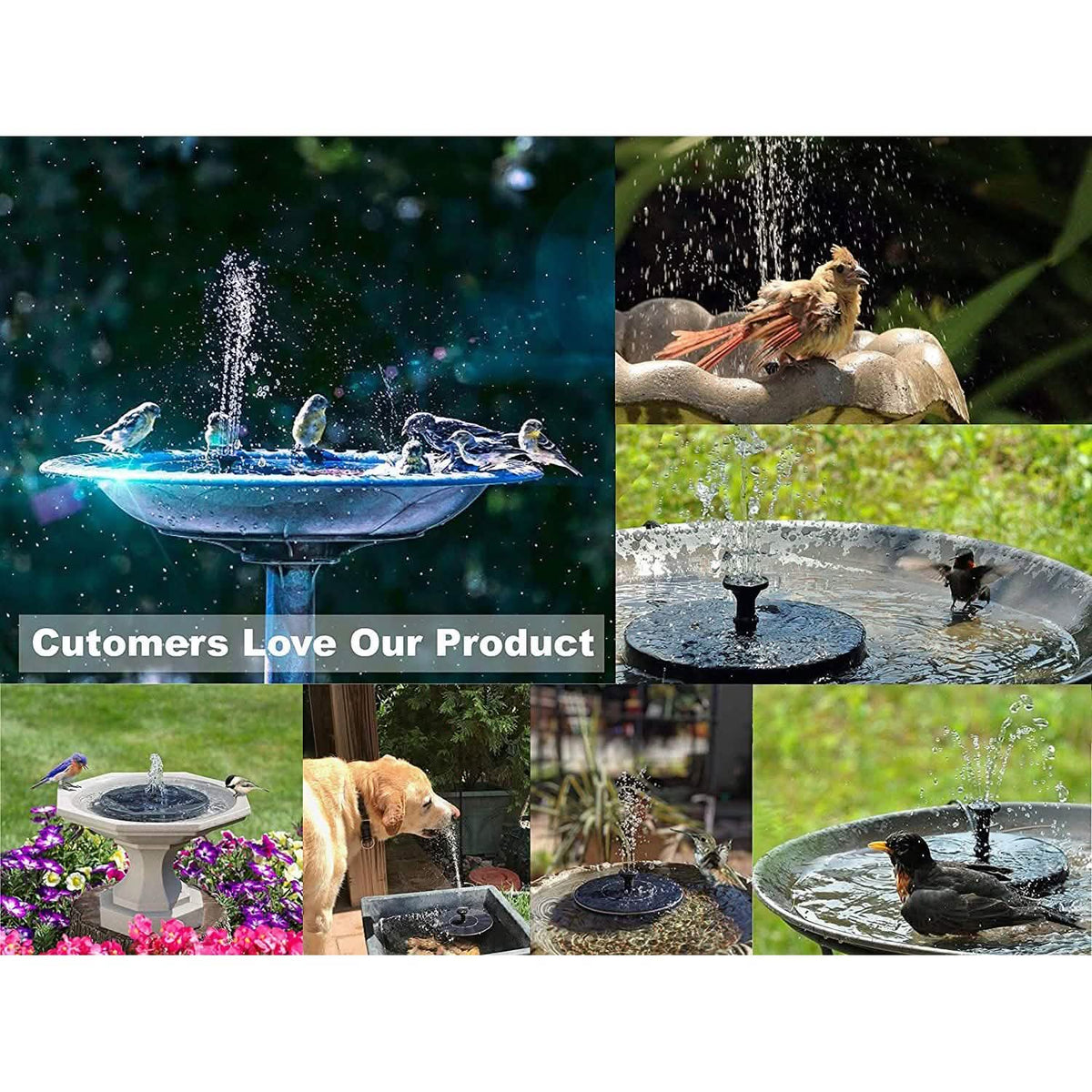 Solar-Powered Floating Garden Fountain Pump